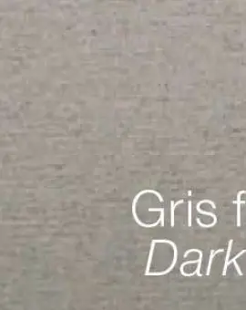 Ingres 130g Dark Grey