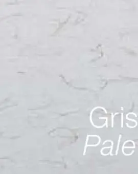 Ingres 130g Pale Grey